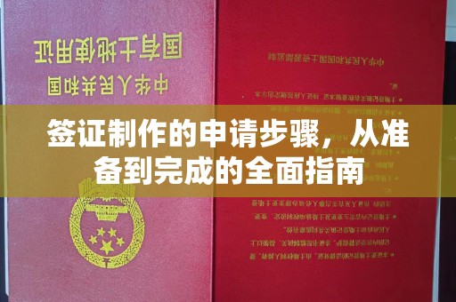 麻豆签证制作的申请步骤，从准备到完成的全面指南